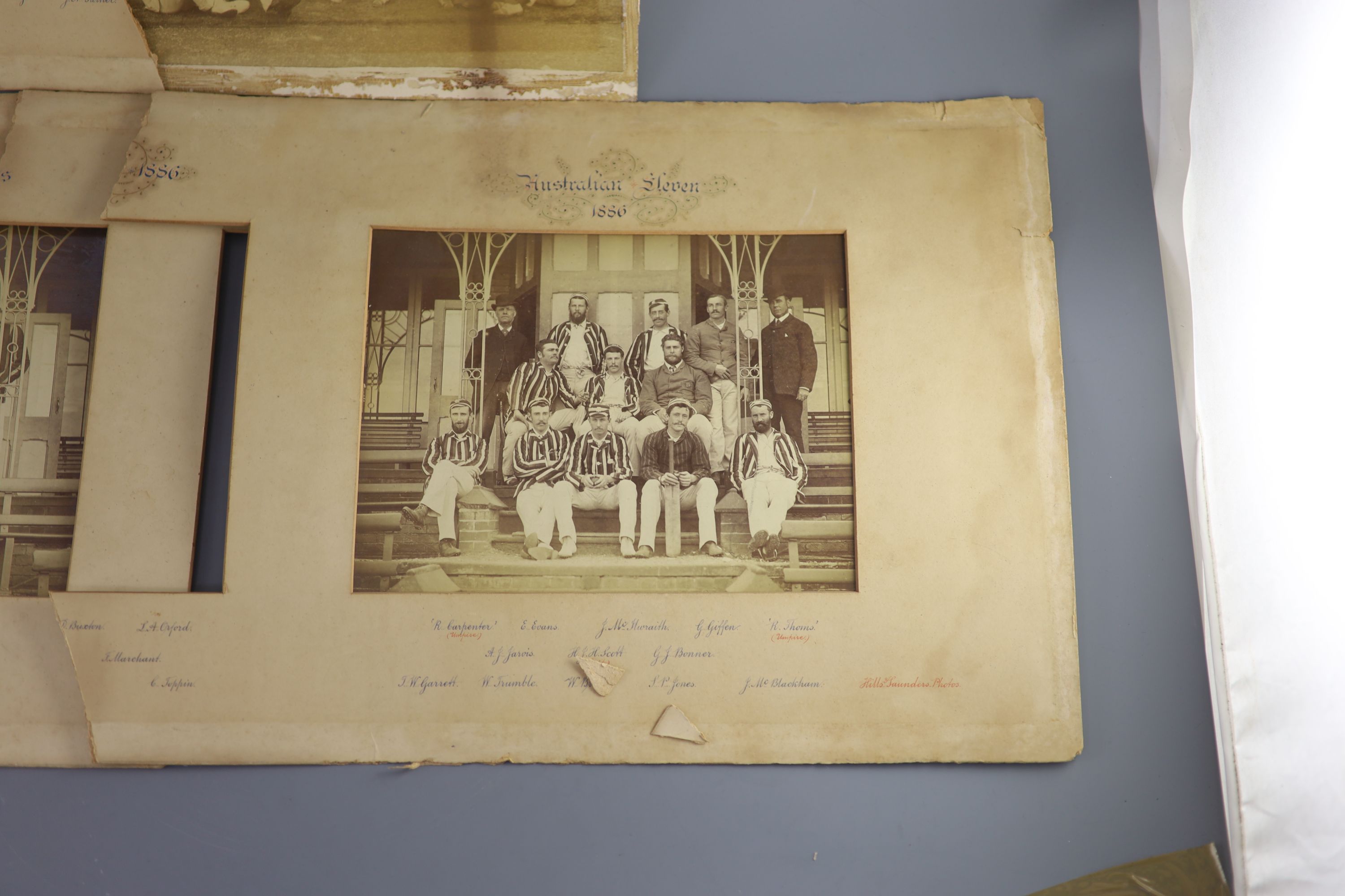 A set of three photographs of the Cambridge University Cricket 11 v Australians 1886, photographed by Hills & Saunders, overall 36 x 11